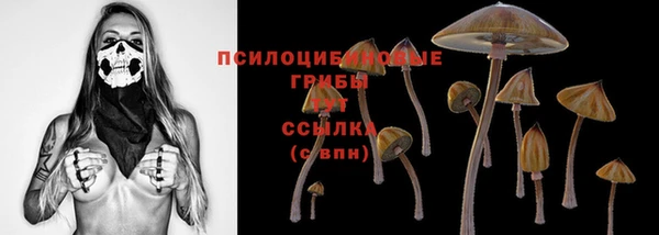 PSILOCYBIN Гусиноозёрск