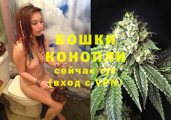бошки Медногорск