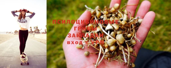 бошки Медвежьегорск