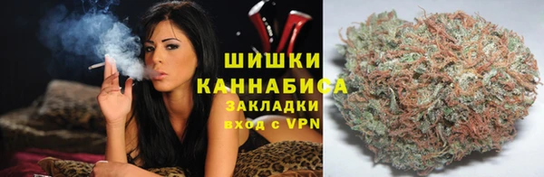сатива Магадан
