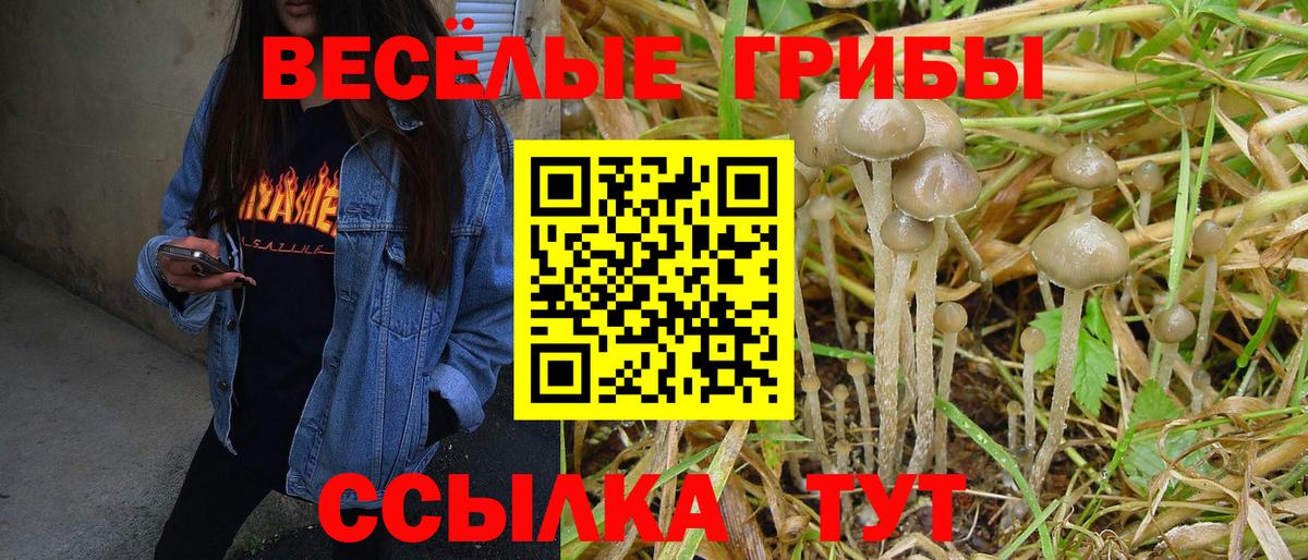Псилоцибиновые грибы прущие грибы Кизилюрт