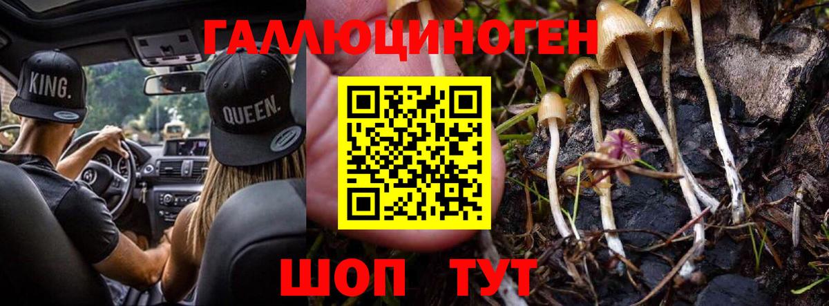 Псилоцибиновые грибы Magic Shrooms  Галлюциногенные грибы GOLDEN TEACHER  Кизилюрт 